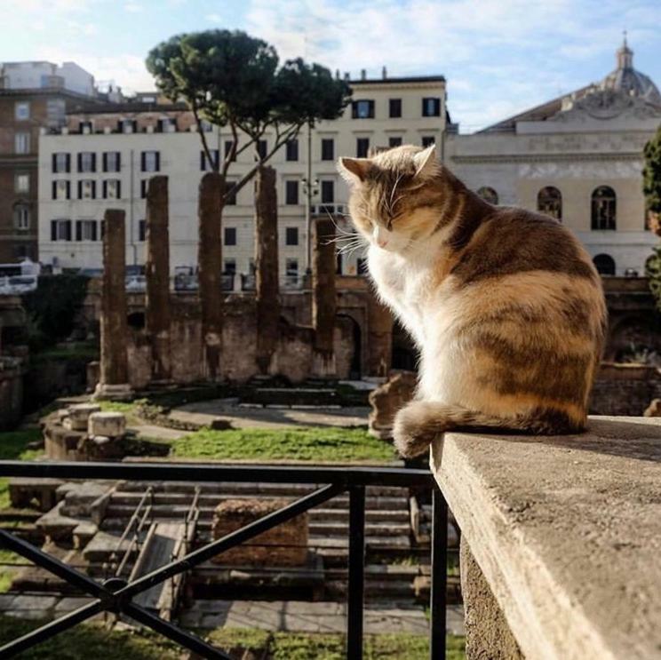 Ancient Roman Mansion Exterior photo